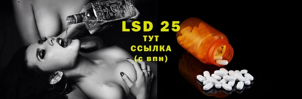 MESCALINE Бородино